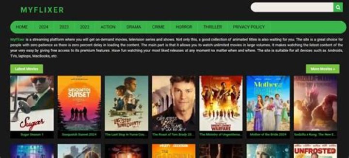 Beginner's Guide to Discovering Free Movie Streaming Treasures with MyFlixer