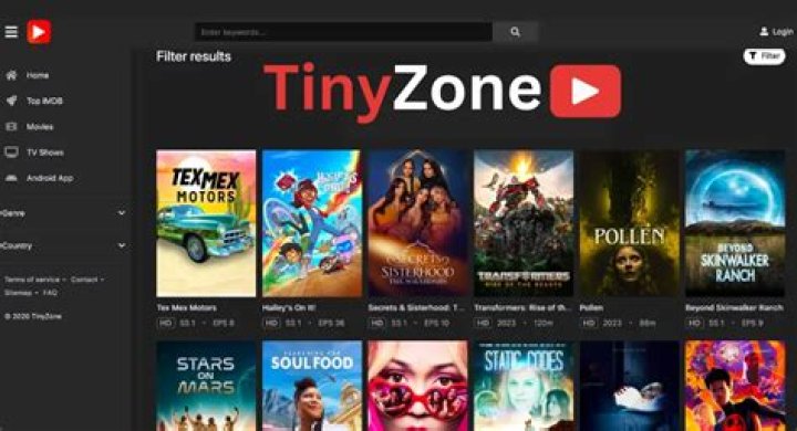 The Best Hidden Gems for Movie Lovers on TinyZone